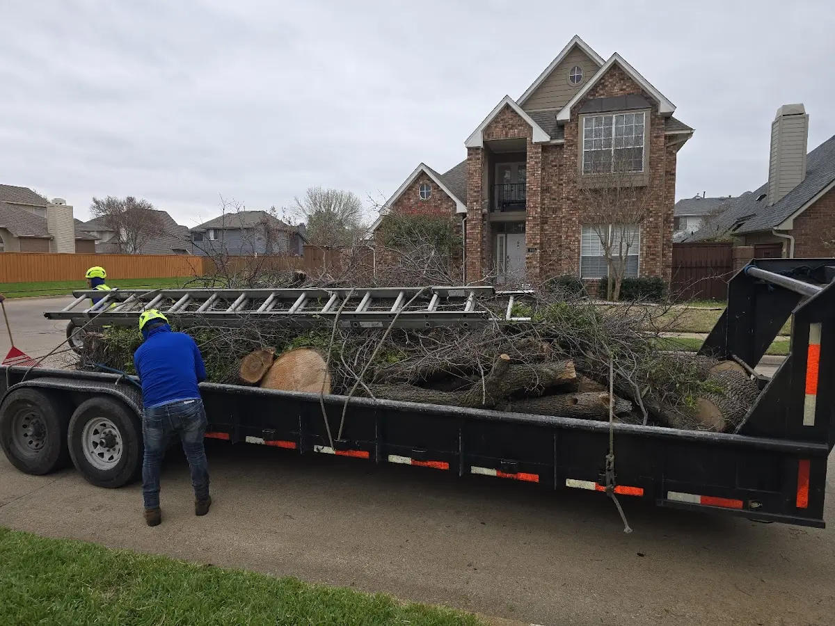 Expert Tree Fertilization with proper safety equipment in Olympic Valley